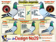 Design No29.jpg

329,65 KB
800 x 600
29.12.2008